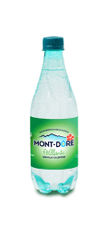 EAU PETILLANTE MONT DORE 50CL